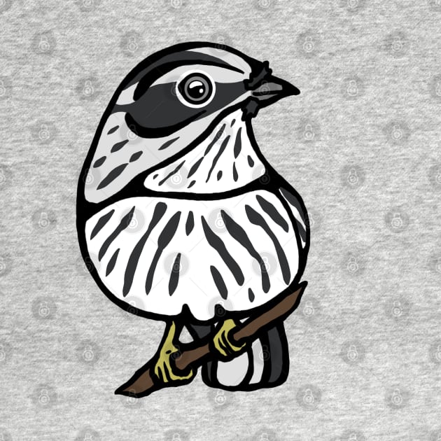 Black and White Warbler Graphic by New World Aster 